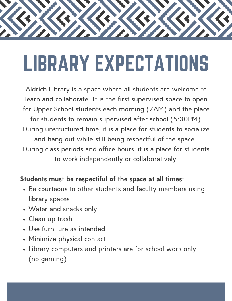 Library Expectations Mighty Little Librarian